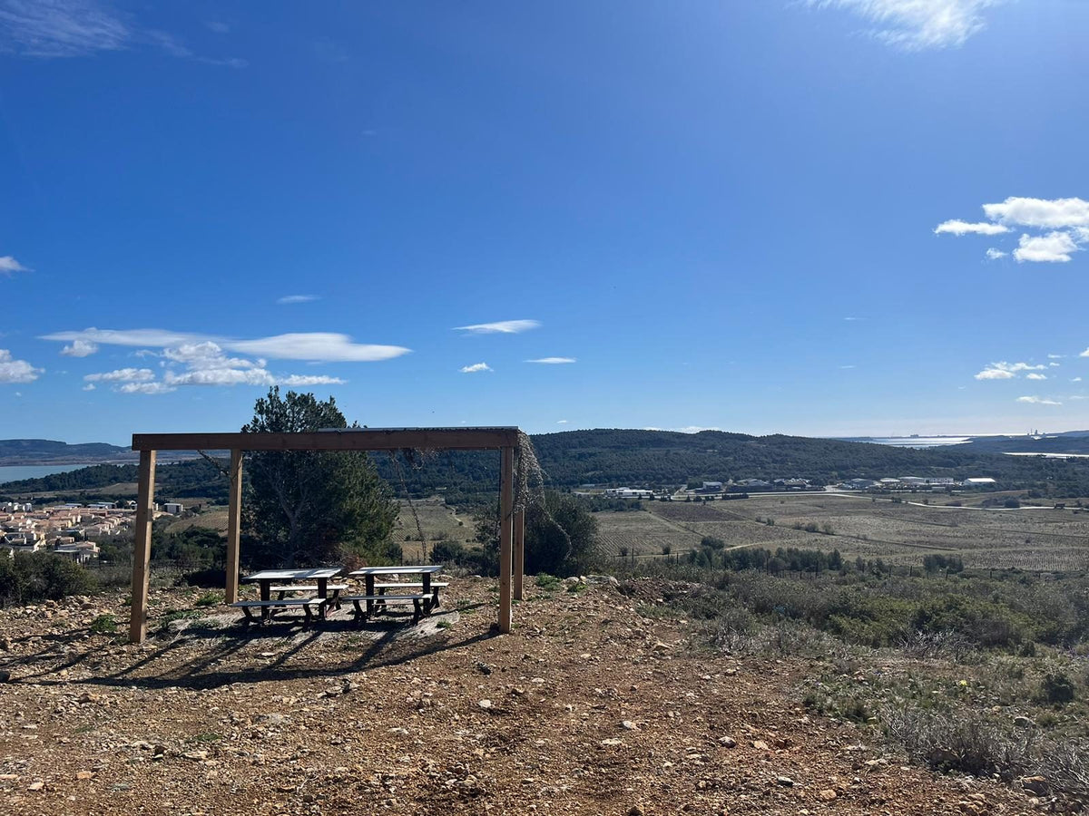 Aire de pique-nique du Château Réveillon dans les vignes, vue sur l'étang de Bages